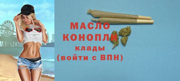сатива Михайлов