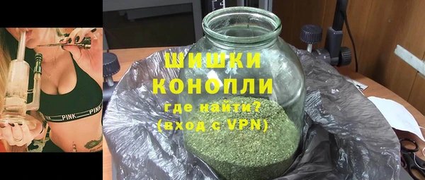сатива Михайлов