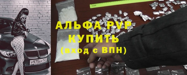 сатива Михайлов